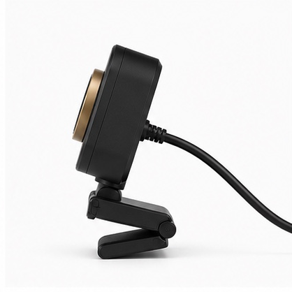 Obsidian Webcam